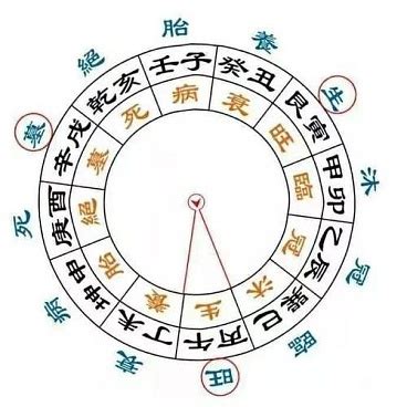 十天干|十天干十二地支(中国古代历法)